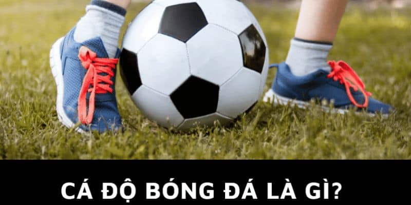 Cá độ bóng đá